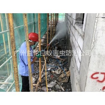 花都建筑白蚁预防工程