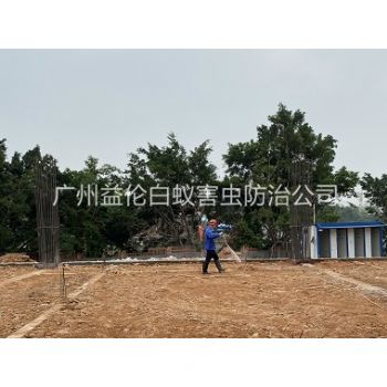 增城地基新建预防白蚁工程